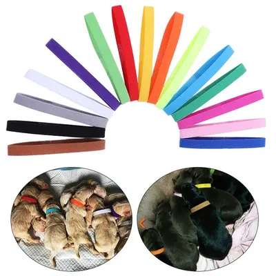 15pcs/Set Adjustable ID Collars Dog Collar Personalized Nylon Pet Dog Tag Collar Custom Puppy Cat Nameplate Large Dogs Engraved