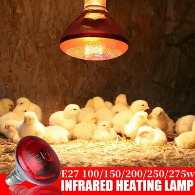 Langlebige Geflügel-Heizlampe, Zuchtlampe, hochwertige E27, 100/150/200/250/275 W, LED-Licht, Haustier-Brooder, Luke, Küken-Heizlampe