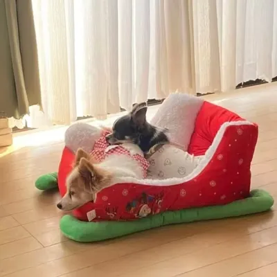 Christmas Cat Nest Winter warm Cloud nest Cat and dog nest original design moisture-proof nest