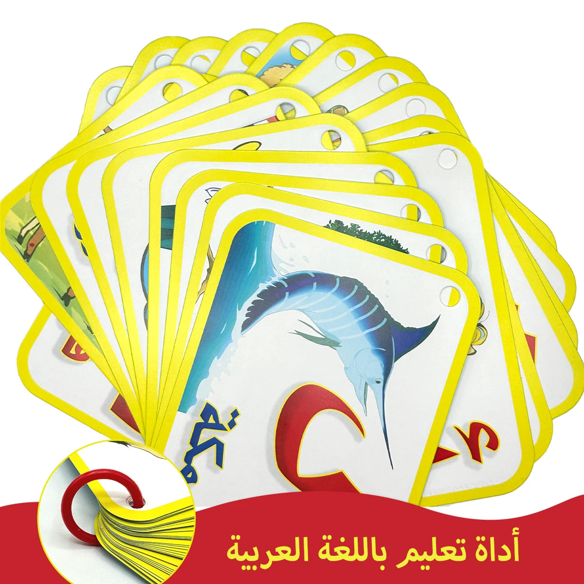 Card image cap