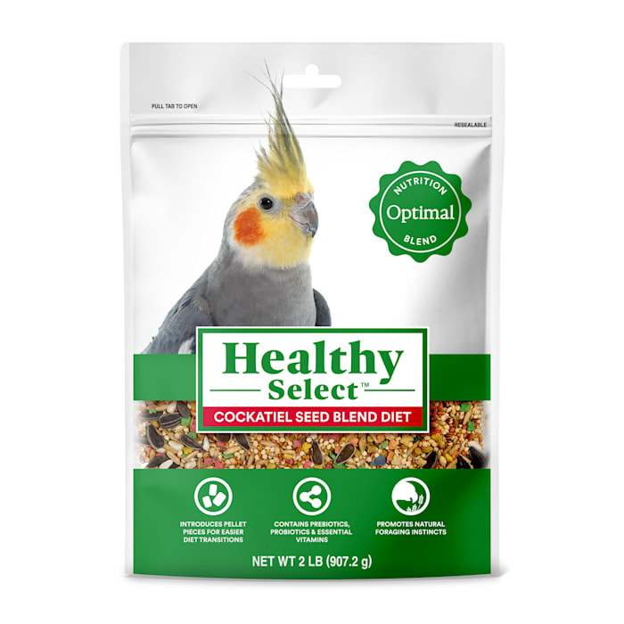 Healthy Select Cockatiel Seed Blend Diet, 2 lbs.