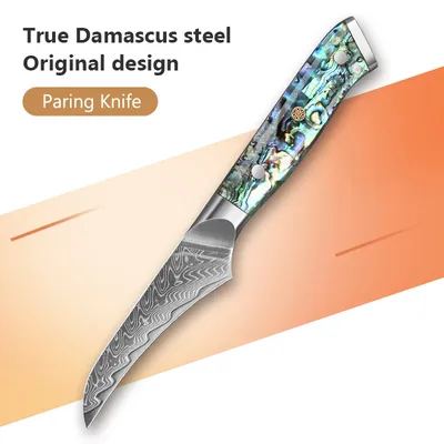 3.5 inch Paring Knife Japanese Damascus Steel 67 Layers knife Kitchen Fruit vegetable Splitter knife Abalone shell Handle