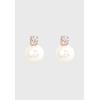 US Polo Assn Jewellery Maisie Ohrringe in Roségold