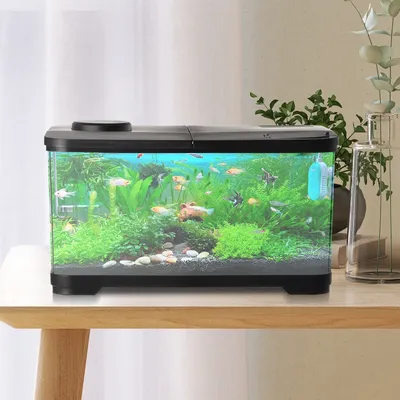 50L Aquarium Tank with Light Acrylic Aquariums Starter Kits Tabletop Decor Mini Fish Tank for Fish Shrimp Aquatic Plants
