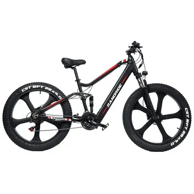 RANDRIDE YX90M Adult Electric Bicycle 1000W Men's E-Mountain ebike 48V13.6A Battery 26 Inch Fat Tire Men's Electric Bike