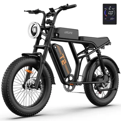 URLIFE T2 adult E-bike 250W 48V 15.6Ah battery Electric Bike,20-inch All-terrain fat tire E-Mountain bike