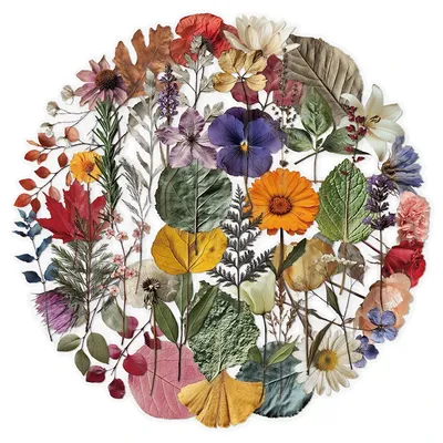 50PCS Vintage Flower Stickers for Scrapbooking Nature Plant Craft Sticker Transparent Realistic Dried Pressed Flower Stickers