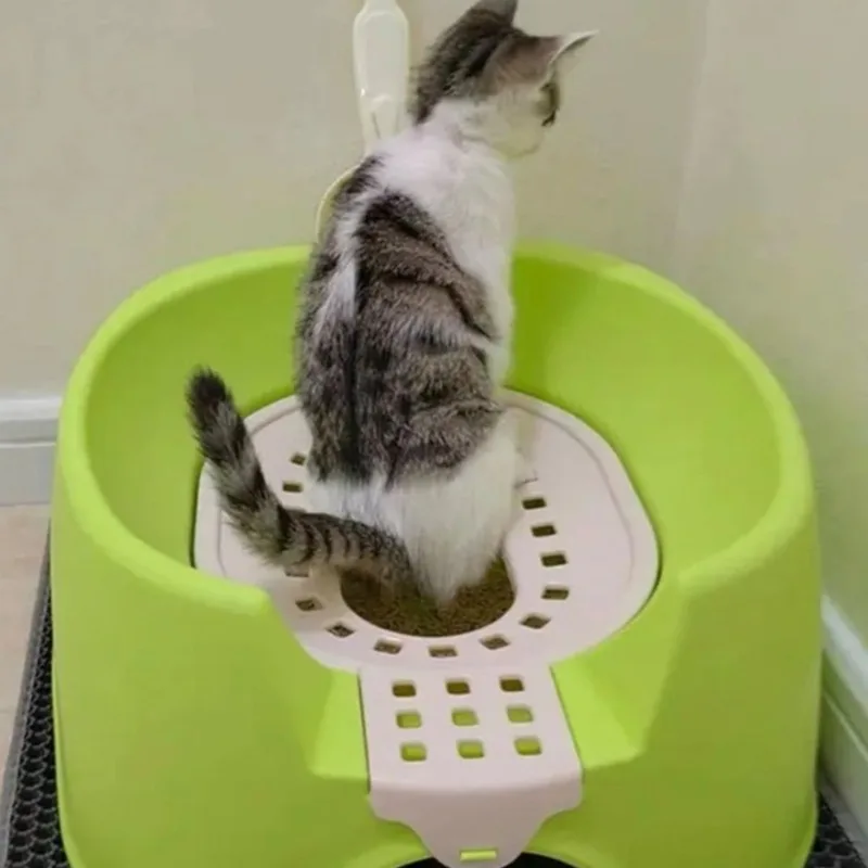 Button Flush Katzentoilette Haustier Kleine Katzen Kätzchen Flush Wassertoiletten Katzen Kätzchen Bettpfannen Box Haustiere Zubehör Produktbedarf Image