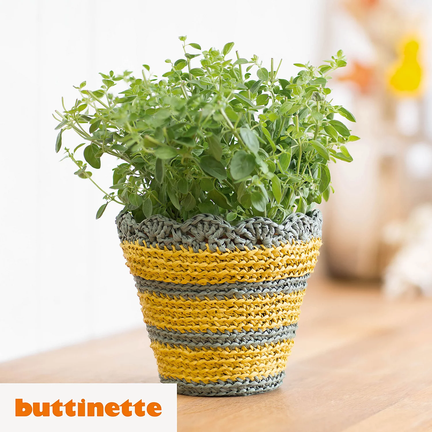 Häkelanleitung – Übertopf aus Woll Butt Raffia Image