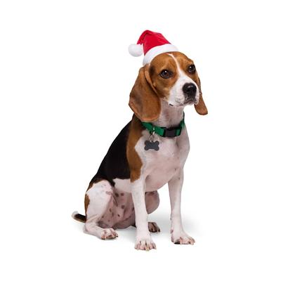 Merry Makings Pet Santa Hat, Small/Medium, Assorted