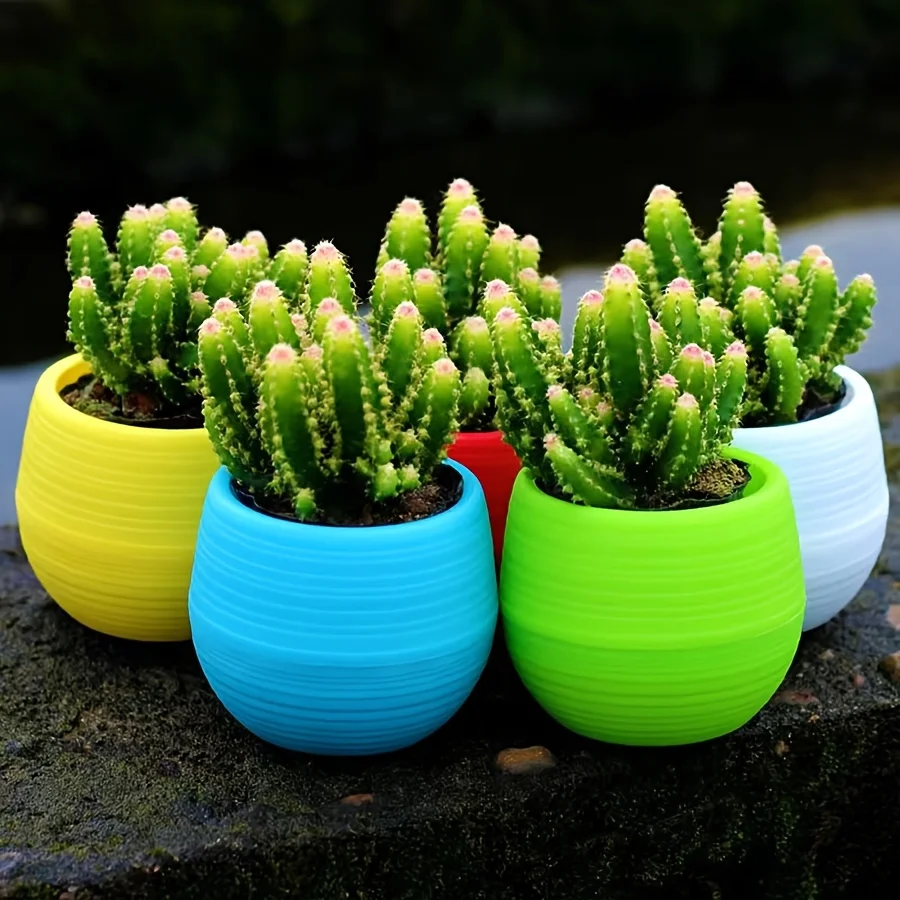 5 teile/satz Bunte Runde Blumentöpfe Mini Kunststoff Abdeckung Pflanzen Töpfe Anzug für Desktop Balkon Garten Home Office Haushalt JXB Image