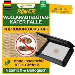 Green Guardia Wollkrautblütenkäfer Falle mit Pheromon-Lockstoff: 2 Image