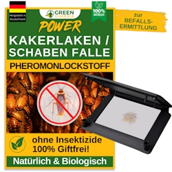 Green Guardia Kakerlaken / Schaben Falle mit Pheromon-Lockstoff: 5 Image