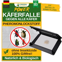 Green Guardia Käfer Falle mit Pheromon-Lockstoff: 1 Image