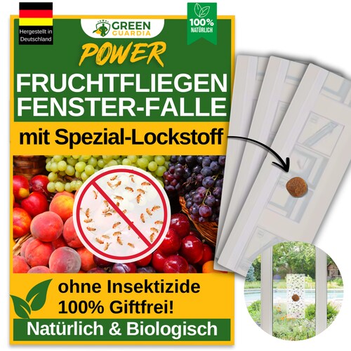 Green Guardia Fruchtfliegen Fenster-Falle mit Spezial-Lockstoff: 27 Image