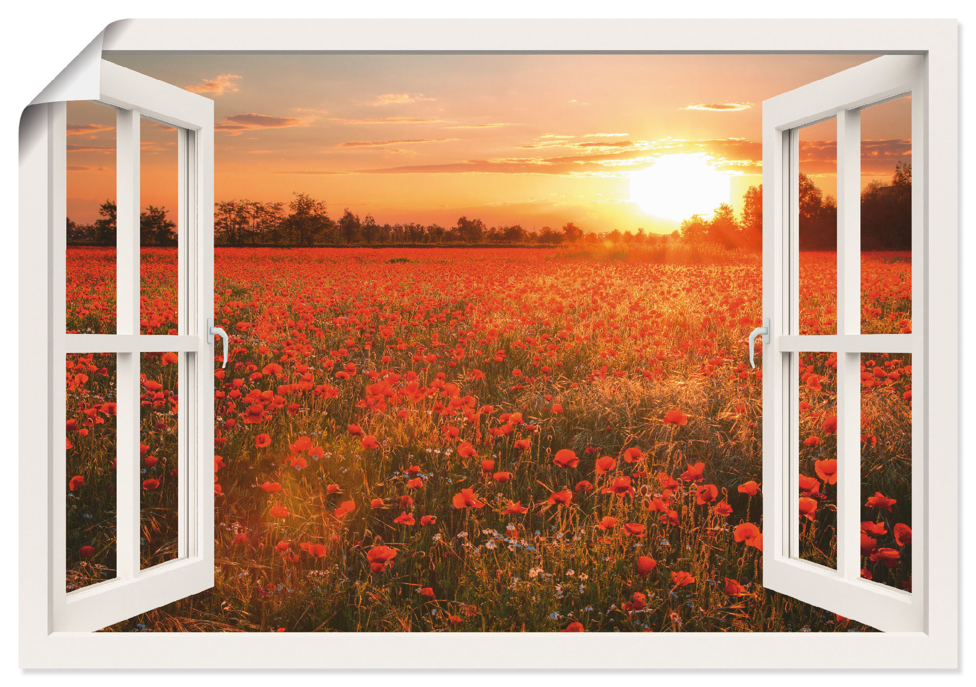 Wandbild ARTLAND "Fensterblick Mohnblumenfeld", weiß (farbe bild(er): weiß), B:100cm H:70cm T:0,1cm, Papier, Bilder, als Leinwandbild, Poster, Wandaufkleber in verschied. Größen Image