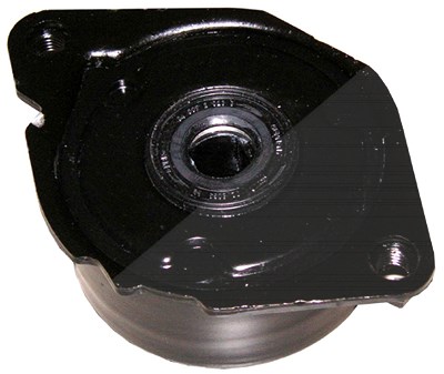 Schaeffler Ina Riemenspanner, Keilrippenriemen [Hersteller-Nr. 534017310] für BMW Image