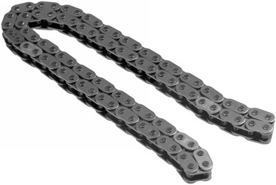 Schaeffler Ina Steuerkette [Hersteller-Nr. 553028010] für Hyundai, Kia Image