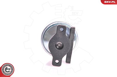 Esen Skv AGR-Ventil [Hersteller-Nr. 14SKV005] für Audi, Ford, Seat, VW Image