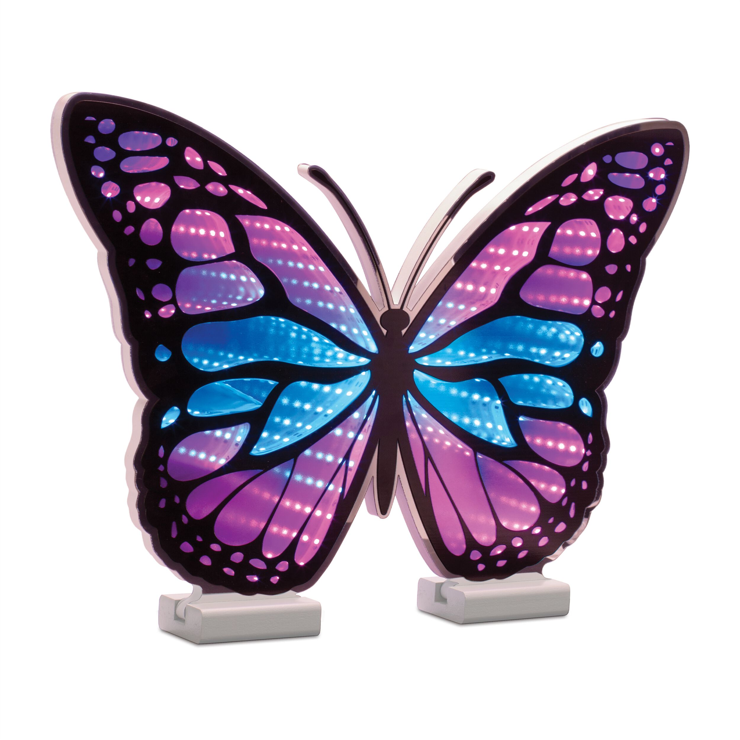 Butterfly Ekko Light Display 17