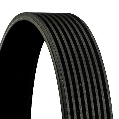 CONTINENTAL CTAM Keilrippenriemen Universal 8PK1545 Image