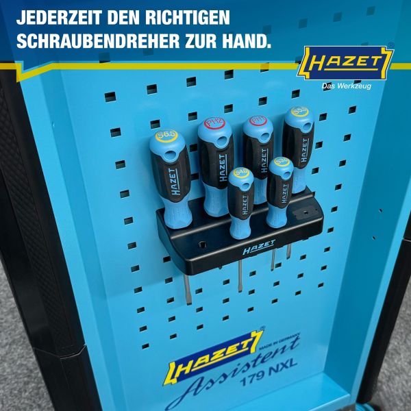 HAZET Schraubendreherhalter, Werkzeuglochtafel 811SH Image
