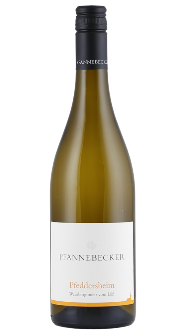 Pfannebecker Weissburgunder Pfeddersheim 2022 Image