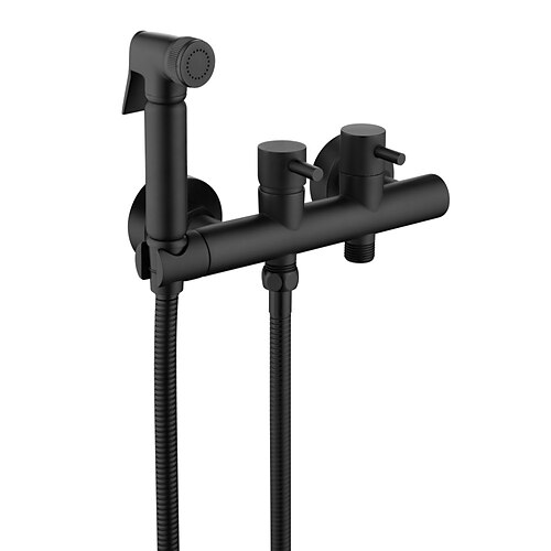 Einloch-Bidet Chrom Selbstreinigend Zeitgenössisch Image