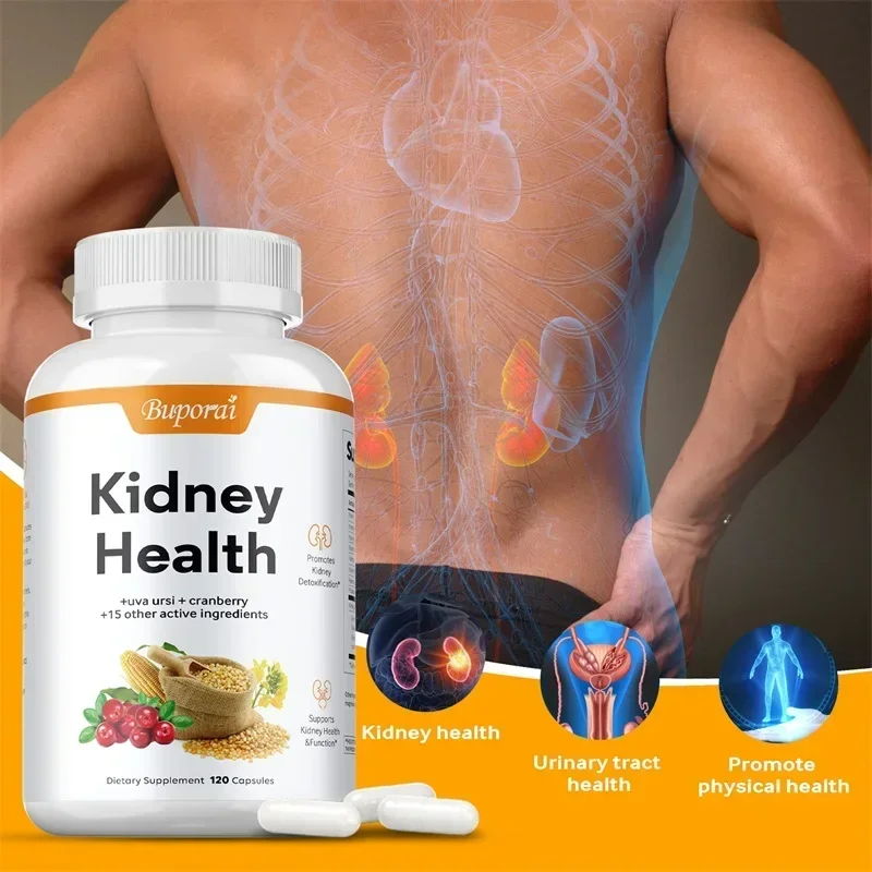 Kidney Health Support - Antioxidant, Supports Urinary Tract Health, Relieves Stress and Discomfort, Promotes Liver Cleansing