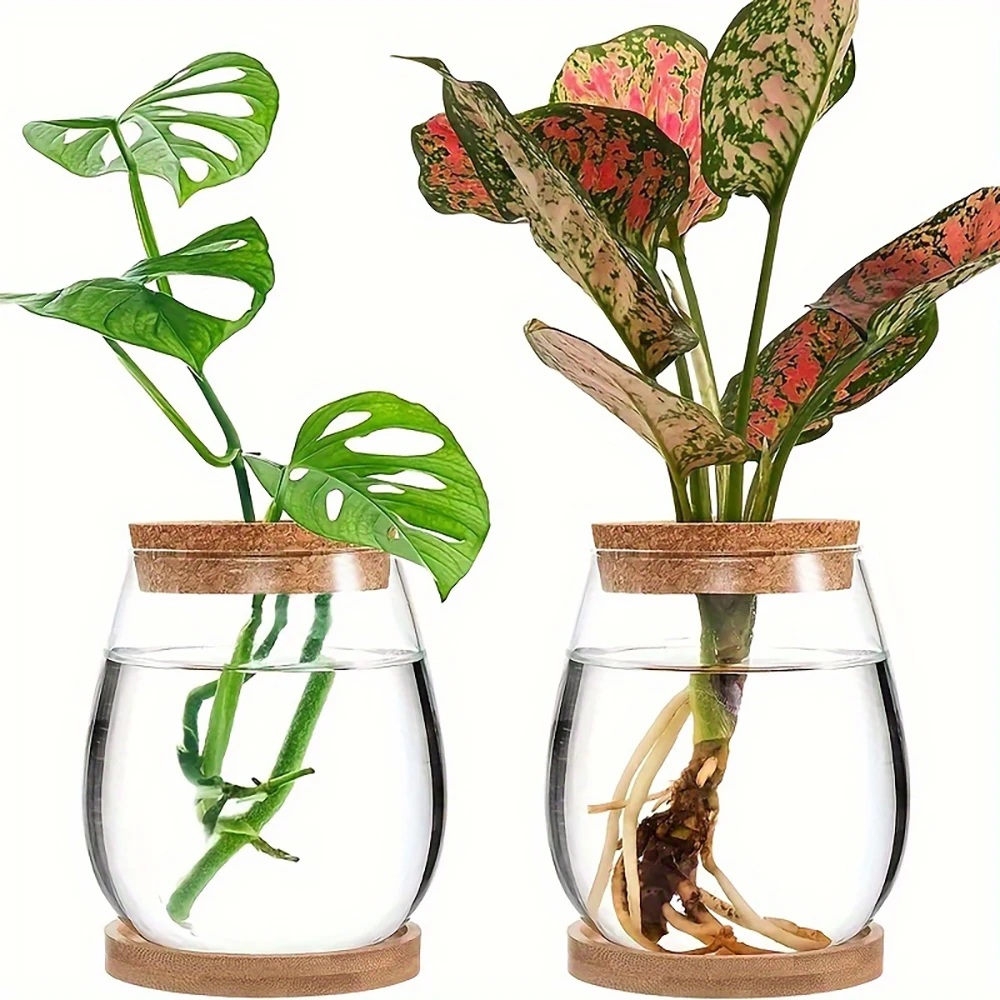 2PCS Modern Glass Vases, With Wooden Bases and Lids, Suitable for Hydroponic Plants and Ideal for Home, Office