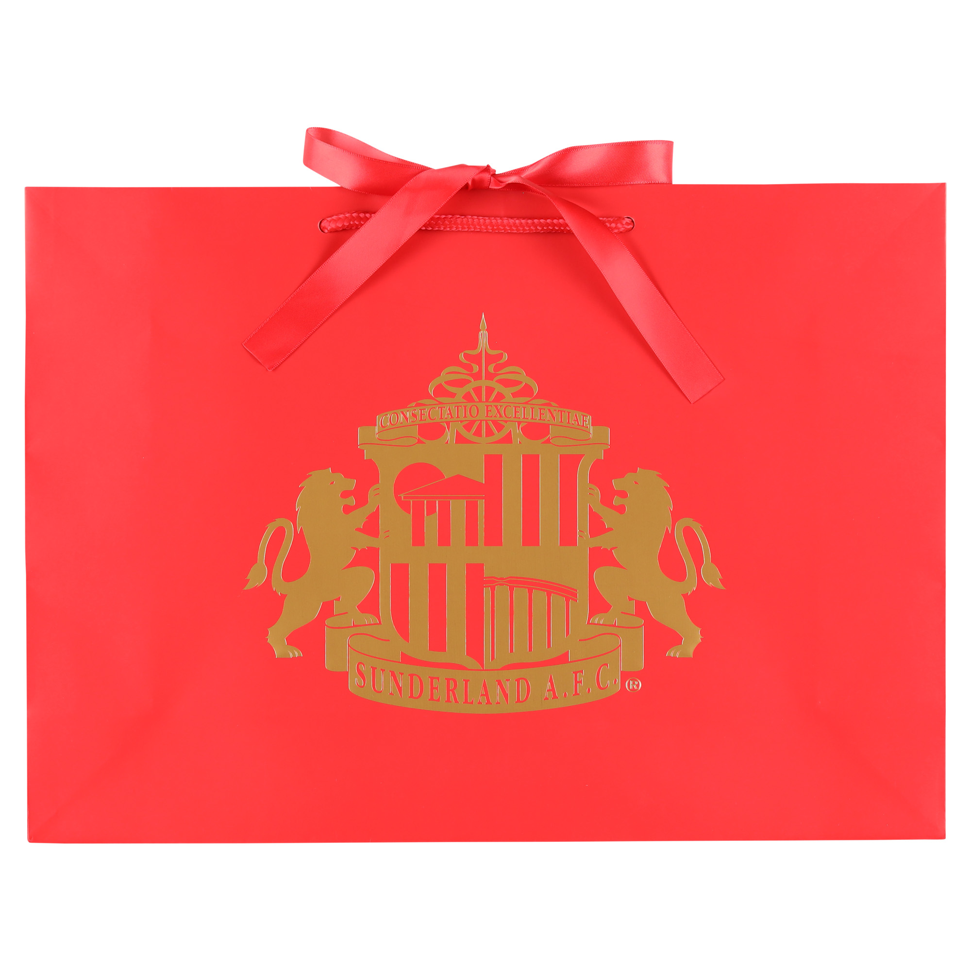 Luxus-Geschenktasche Sunderland – 420 x 300 mm (A3) Image