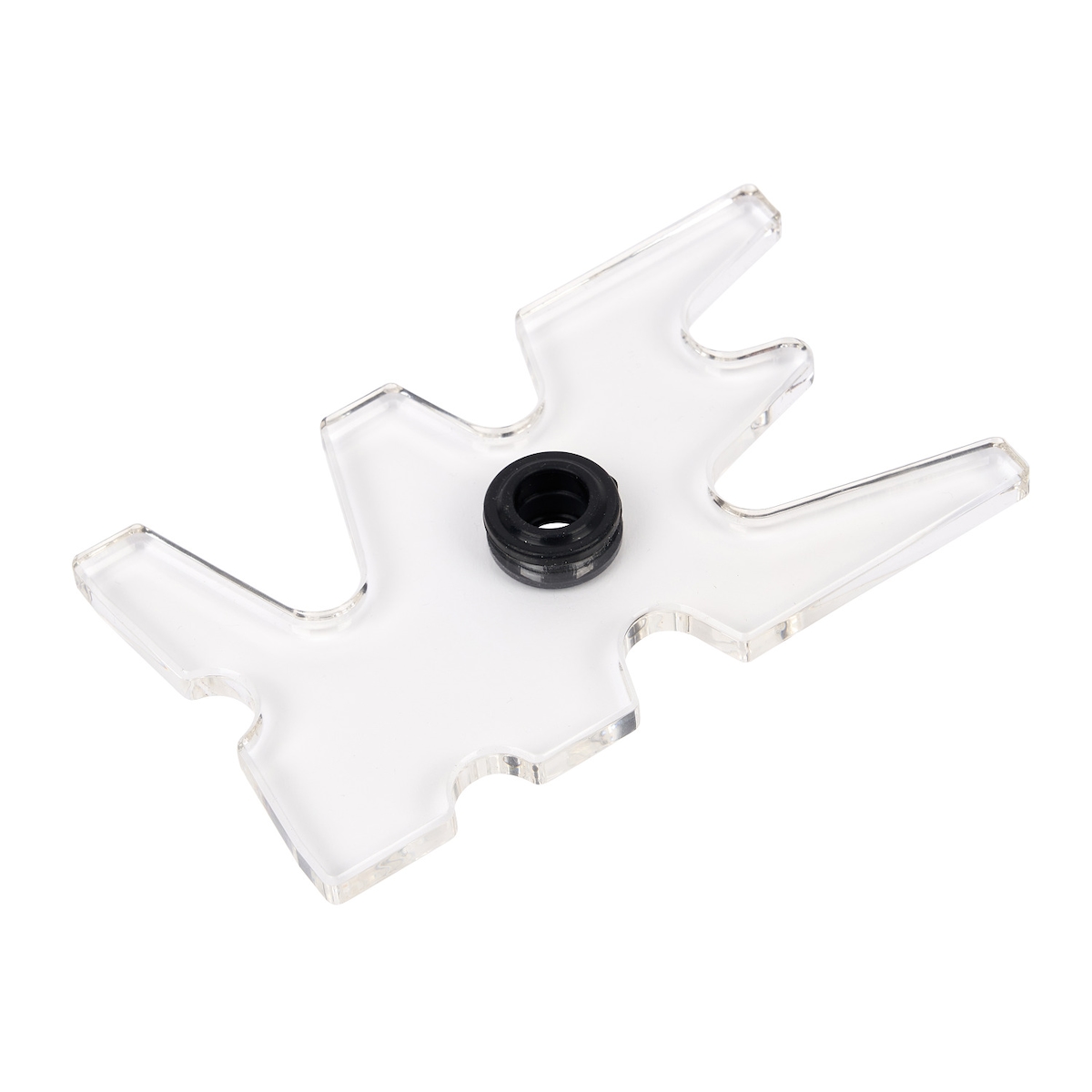 Stradivari Queuebrücke "Transparent" Image