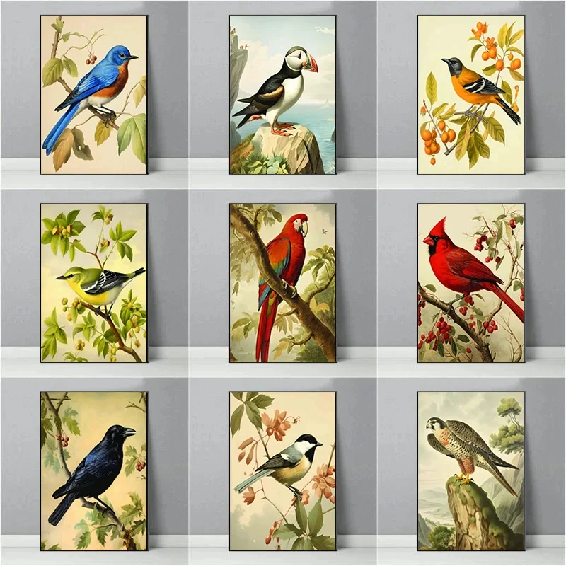 Blue Jay Kardinal Papagei Warbler Vogel Vintage Poster Druck Wand Kunst Bilder Leinwand Malerei Wohnzimmer Home Decor Rahmenlos Image