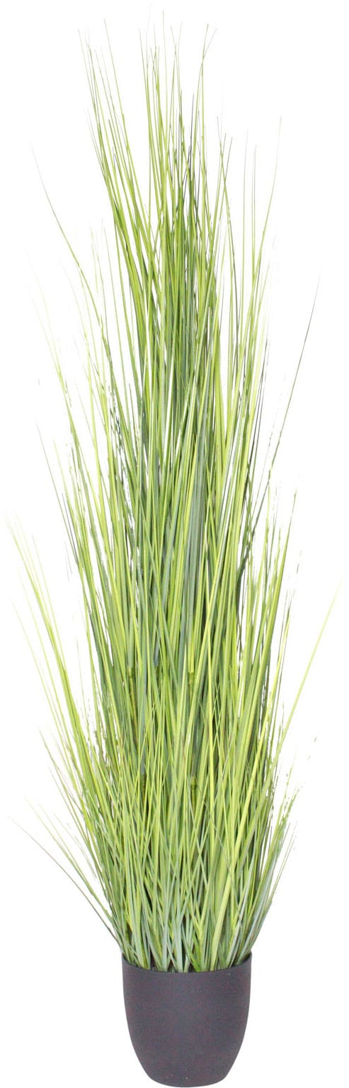 Kunstgras BOTANIC-HAUS "Gras Festuca", grün, B:55cm H:180cm T:55cm Ø:55cm, Kunststoff, Kunstpflanzen