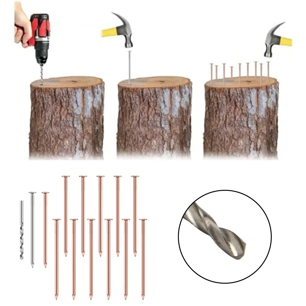 1 Satz wirksame 3,5-Zoll-Kupfernägel zur Entfernung von Baumstumpf zum Tötung von Bäumen, Stumpfwurzel-Hardware-Bäumen ﻿ Zubehör Image