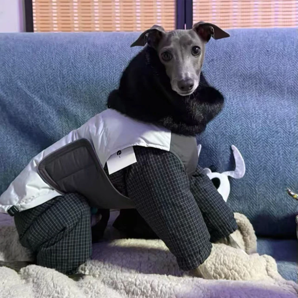 Luxuriöser Daunenmantel für Whippet-Hunde im Winter, winddicht, dick, warm, 4-beinig, Nerzpelzkragen, Jacke für Italien, Windhund Image