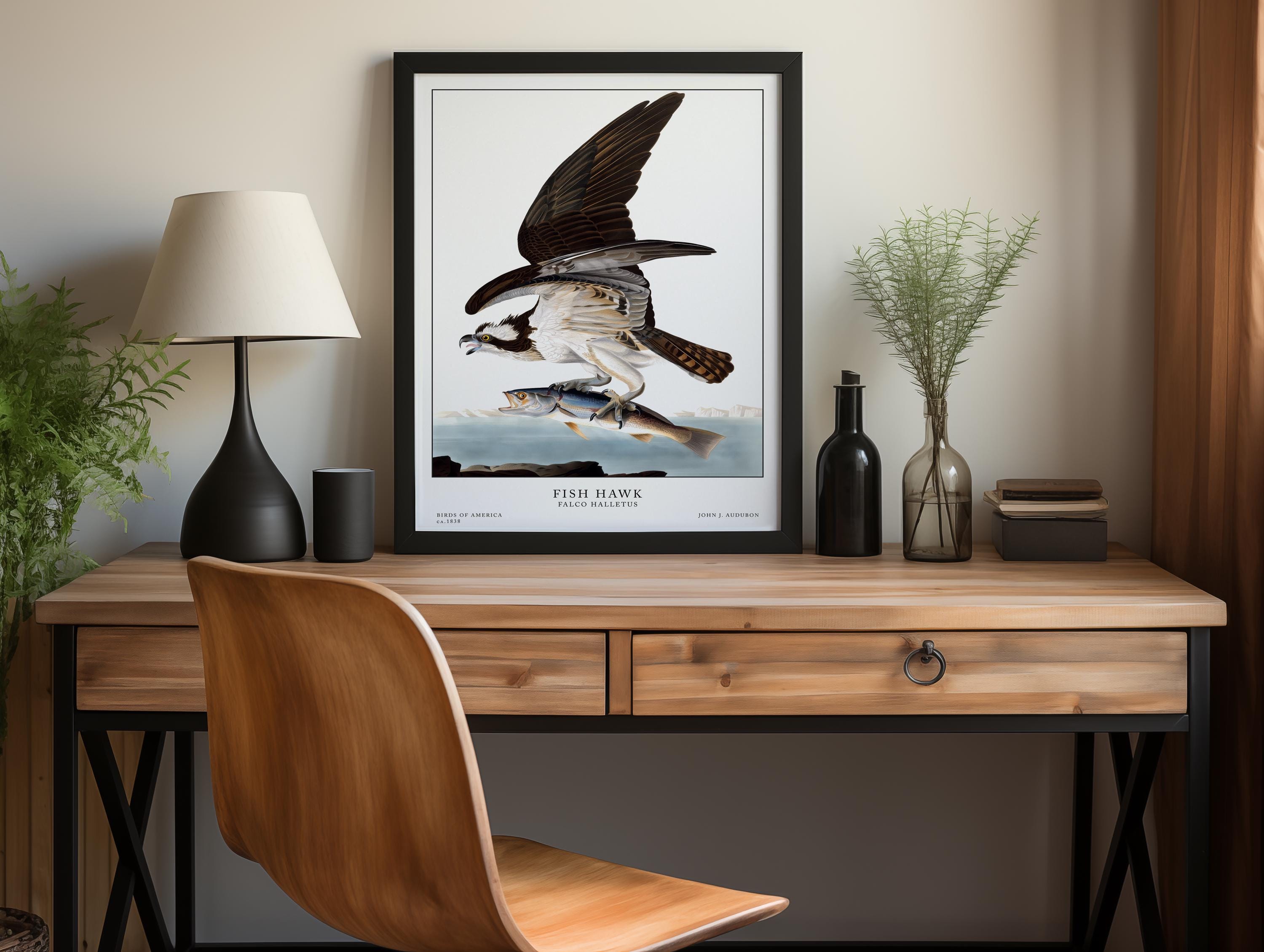 Stampe di uccelli Audubon, illustrazioni vintage, stampe murali di uccelli, uccelli d'America, decorazioni vintage, stampe vintage, poster di uccelli,