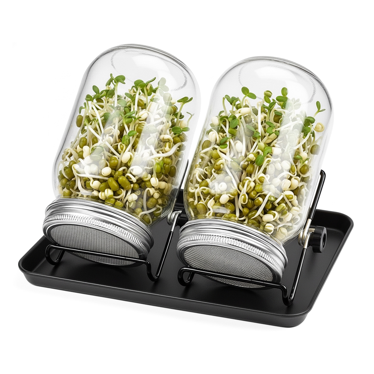 Relaxdays Sprossenglas 2er Set, Ständer & Abtropfschale, Keimglas für Sprossen, 850 ml, Sprossenanzucht, klar/schwarz Image