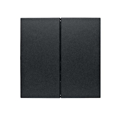 Berker Taste 2fach 85142185 Image