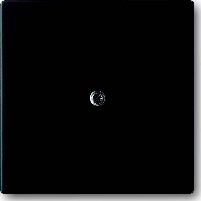 Busch-Jaeger Zentralscheibe sw mt 1745-885 2CKA001710A3896 Image