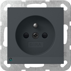 Gira Steckd. Erdstift LED 448928 Image