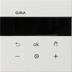 Gira RTR Display 5393112 Image