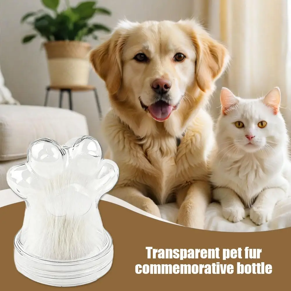 Tierhaar-Memory-Flasche, Haustier-Gedenkgeschenk, um Fell für immer zu halten, Verlust von Hundekatzen-Sympathie-Geschenk, transparenter Andenken-Schmuck Image