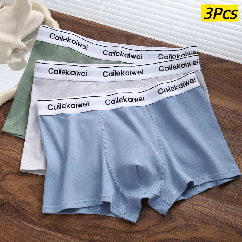 3 pezzi biancheria intima da uomo Hombre mutandine biancheria intima di cotone per adulti boxer comodi e traspiranti biancheria intima sexy tronchi di colore solido