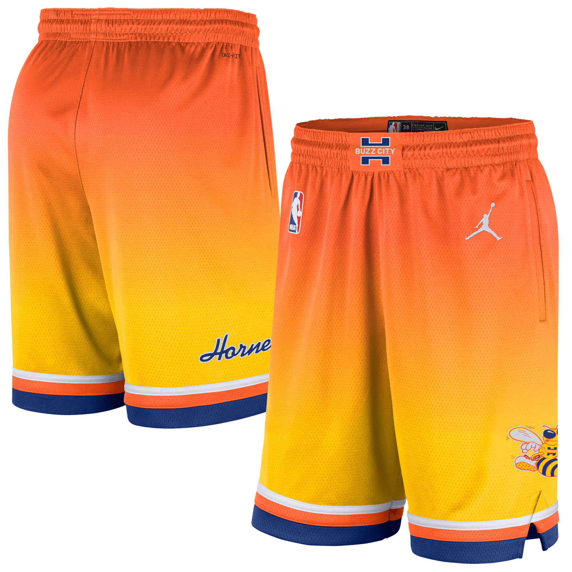Charlotte Hornets Nike 2025 City Edition Short - Herren Image
