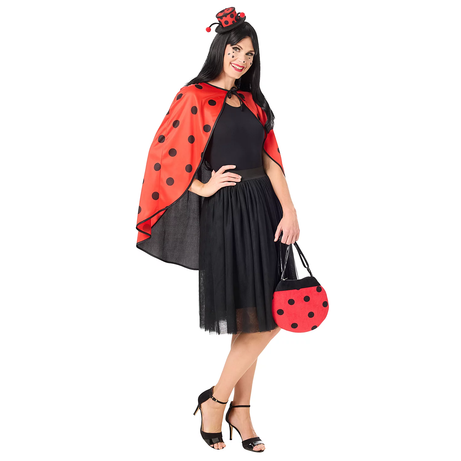 Cape Marienkäfer, schwarz-rot Image