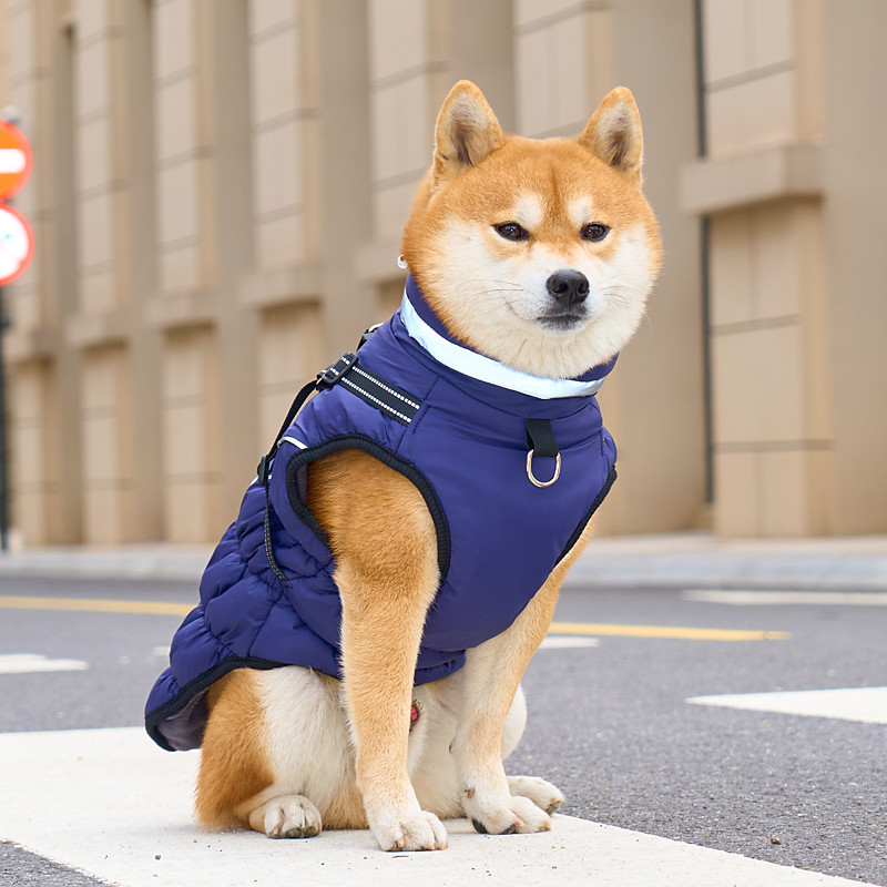 Warm Dog Coat Dog Jacket Waterproof Puppy Winter Coat with Buckles Reflective Adjustable Pet Snow Jacket Fleece Sweater for Medium Large Dogs
