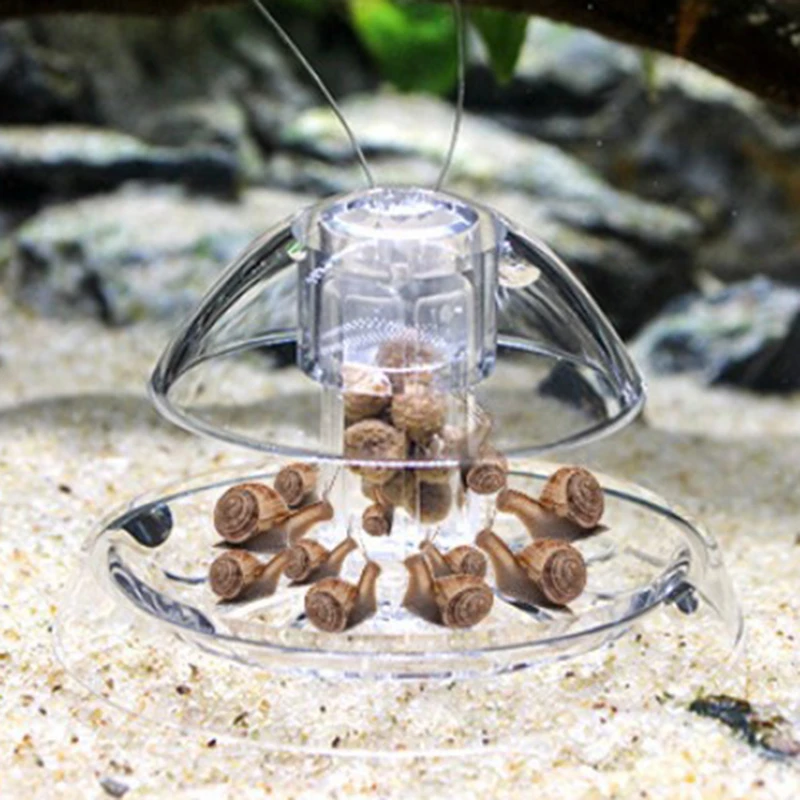 Aquarium Zubehör Aquarium Pflanze Schnecke Falle Catcher Kunststoff Leech Planaria Pest Catch Box Aquarium Aquarium Reinigung Werkzeug Image