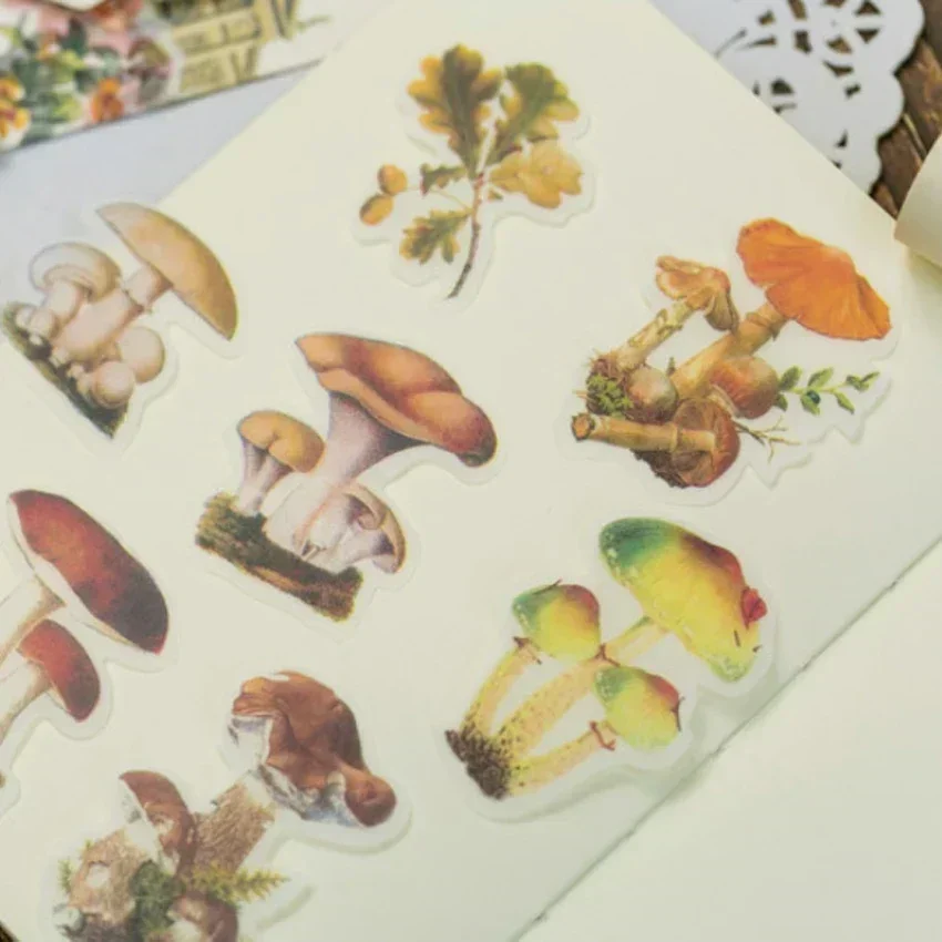 Card image cap