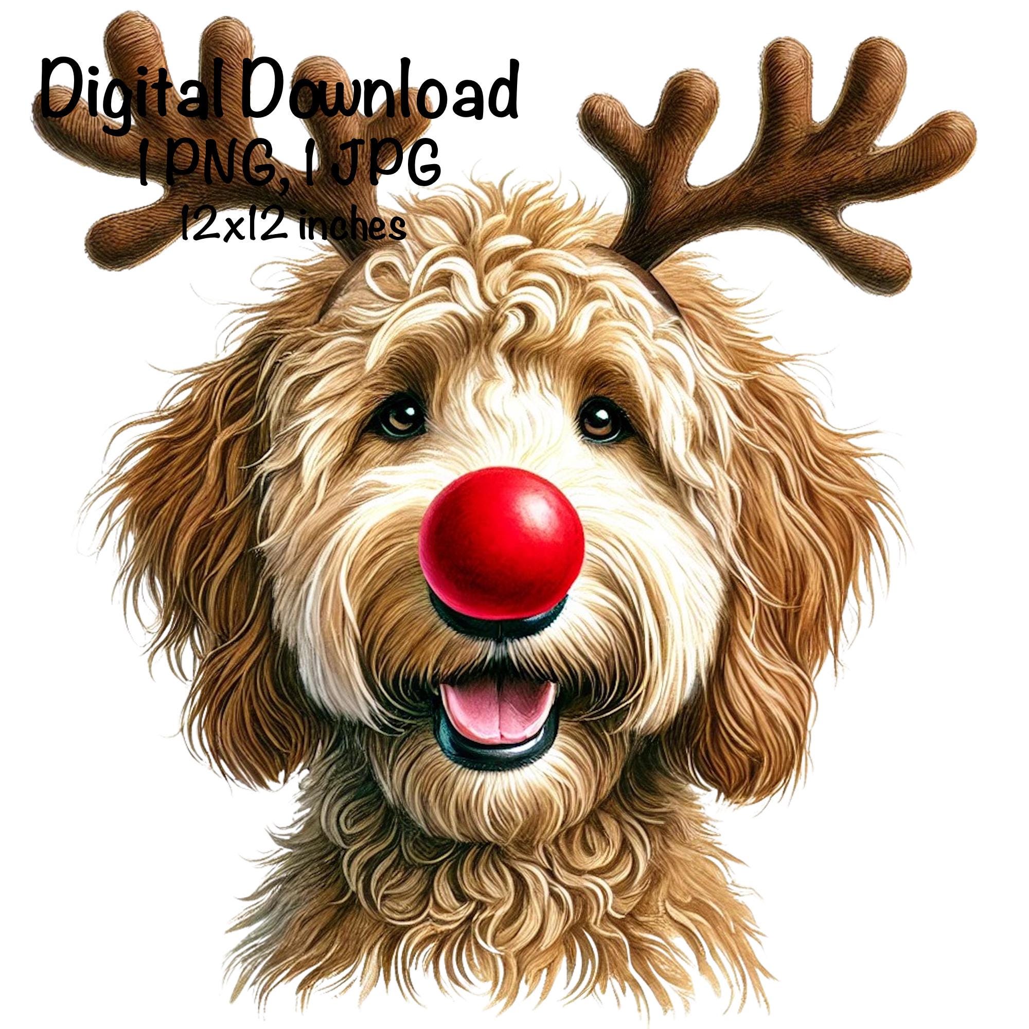 Natale Goldendoodle PNG, Corna di renna Red Nose Golden Doodle Dog Sublimazione, Golden Doodle Dog Baby Doodle PNG Cucciolo Regali di Natale